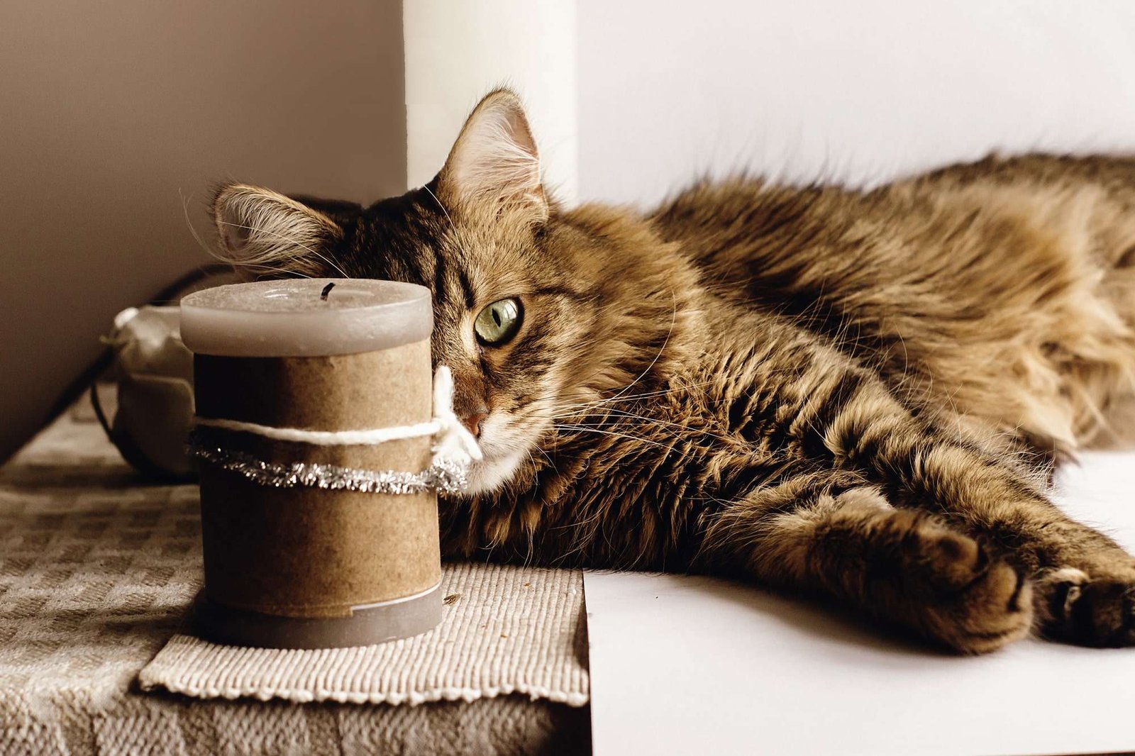 A fluffy tabby cat lies beside an unlit candle, resting on a beige tablecloth, with a curious but relaxed gaze.
