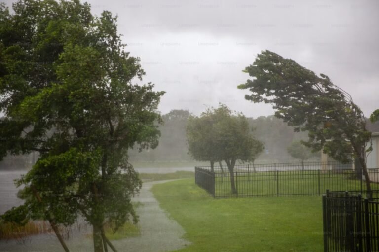 Why Do Odors Get Worse When It Rains in Florida?