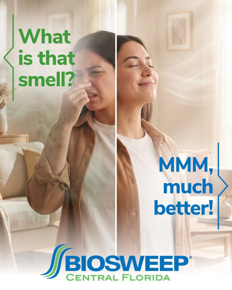 6 Signs It’s Time to Call a Professional Odor Removal Service